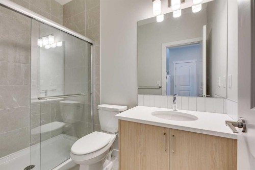 157 Wolf Hollow Drive Se, Calgary, AB - Indoor Photo Showing Bathroom
