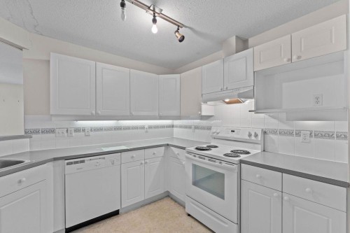 109-4507 45 Street Sw, Calgary, AB - Indoor Photo Showing Kitchen