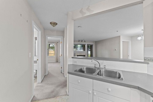 109-4507 45 Street Sw, Calgary, AB - Indoor Photo Showing Kitchen With Double Sink