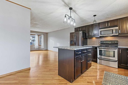 128 Ventura Way Ne, Calgary, AB - Indoor Photo Showing Kitchen With Stainless Steel Kitchen