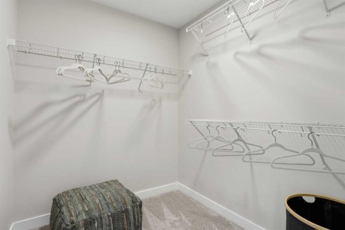 64 Buffaloberry Manor Se, Calgary, AB - Indoor With Storage