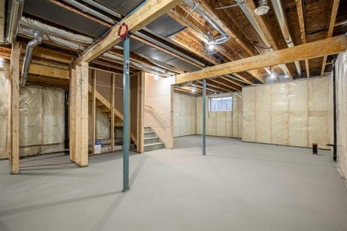 56 Creekstone Grove Sw, Calgary, AB - Indoor Photo Showing Basement