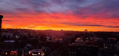 508-1330 15 Avenue Sw, Calgary, AB - Outdoor With View