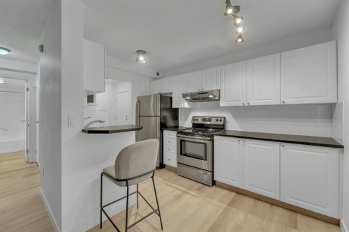 508-1330 15 Avenue Sw, Calgary, AB - Indoor Photo Showing Kitchen With Stainless Steel Kitchen