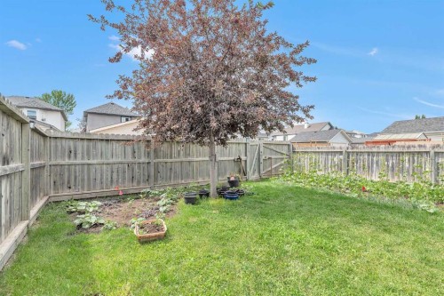 15 Harvest Rose Circle Ne, Calgary, AB - Outdoor