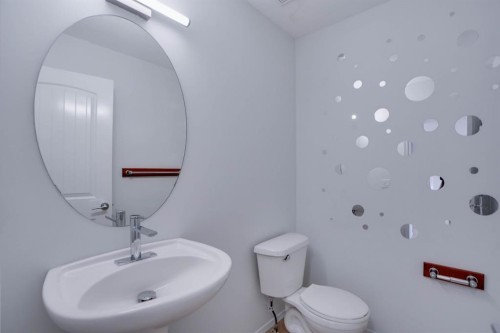 382 Brightonstone Green Se, Calgary, AB - Indoor Photo Showing Bathroom