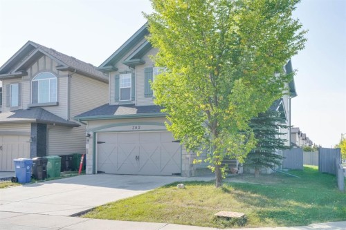 382 Brightonstone Green Se, Calgary, AB - Outdoor