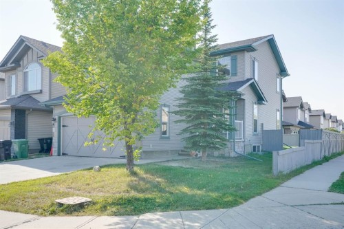 382 Brightonstone Green Se, Calgary, AB - Outdoor