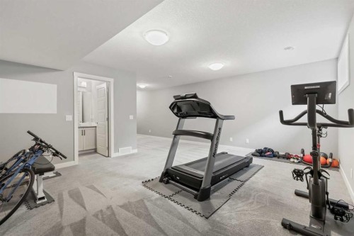 3 Sage Bluff Heights Nw, Calgary, AB - Indoor Photo Showing Gym Room