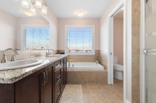 529 Saddlelake Drive Ne, Calgary, AB - Indoor Photo Showing Bathroom