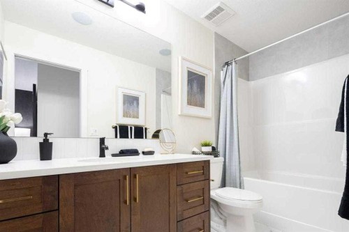 157 Wild Rose Way Se, Calgary, AB - Indoor Photo Showing Bathroom