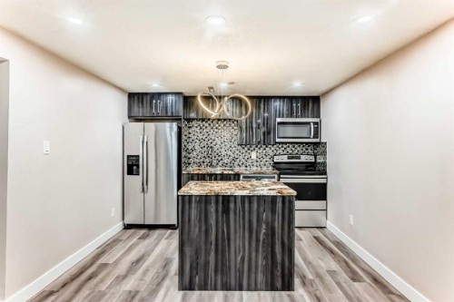 1835 42 Street Se, Calgary, AB - Indoor Photo Showing Kitchen With Upgraded Kitchen