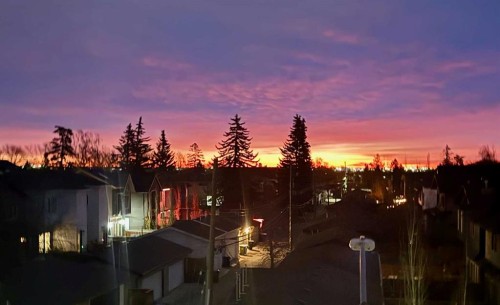 4929 20 Street Sw, Calgary, AB - Outdoor