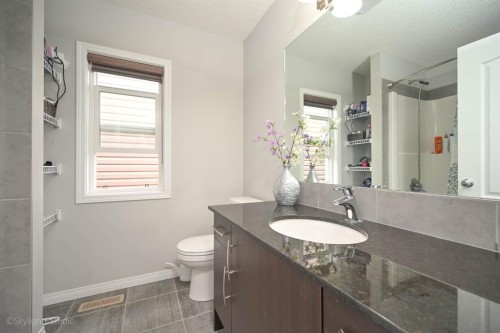 109 Red Embers Crescent Ne, Calgary, AB - Indoor Photo Showing Bathroom