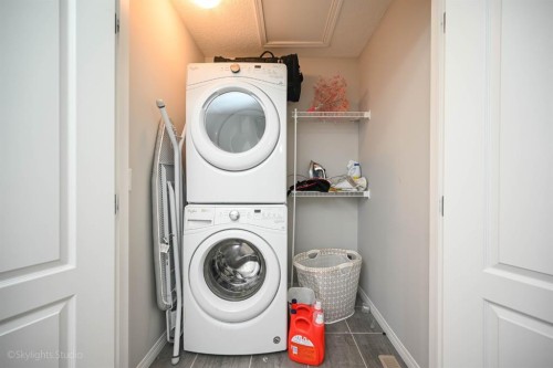109 Red Embers Crescent Ne, Calgary, AB - Indoor Photo Showing Laundry Room