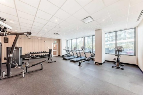 1013-730 2 Avenue Sw, Calgary, AB - Indoor Photo Showing Gym Room