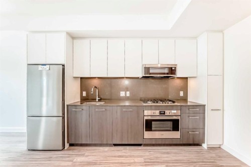 1013-730 2 Avenue Sw, Calgary, AB - Indoor Photo Showing Kitchen With Stainless Steel Kitchen With Upgraded Kitchen