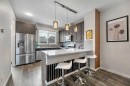 784 Livingston Hill Ne, Calgary, AB  - Indoor Photo Showing Kitchen With Stainless Steel Kitchen With Upgraded Kitchen 