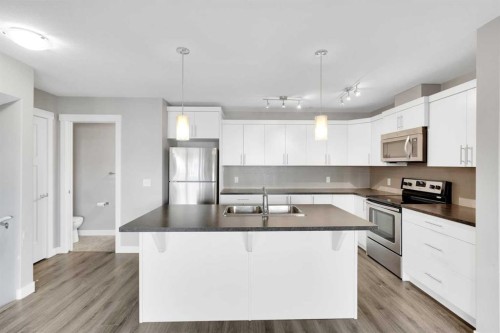 307 Skyview Ranch Grove Ne, Calgary, AB - Indoor Photo Showing Kitchen With Double Sink With Upgraded Kitchen