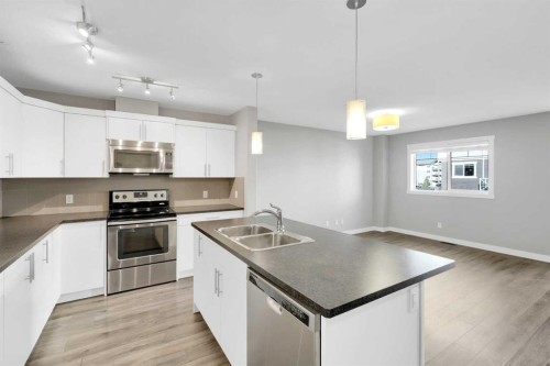 307 Skyview Ranch Grove Ne, Calgary, AB - Indoor Photo Showing Kitchen With Double Sink With Upgraded Kitchen