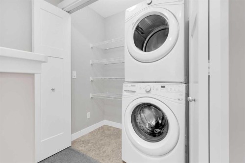 307 Skyview Ranch Grove Ne, Calgary, AB - Indoor Photo Showing Laundry Room