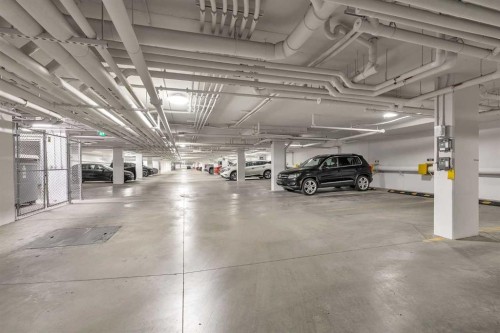 1415-111 Wolf Creek Drive Se, Calgary, AB - Indoor Photo Showing Garage
