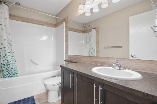 722 Redstone View Ne, Calgary, AB - Indoor Photo Showing Bathroom