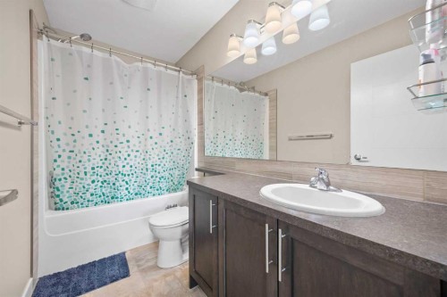 722 Redstone View Ne, Calgary, AB - Indoor Photo Showing Bathroom