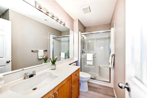 677 Regal Park Ne, Calgary, AB - Indoor Photo Showing Bathroom