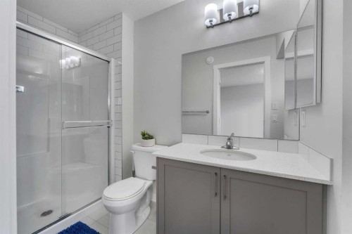 10 Midtown Boulevard Sw, Airdrie, AB - Indoor Photo Showing Bathroom