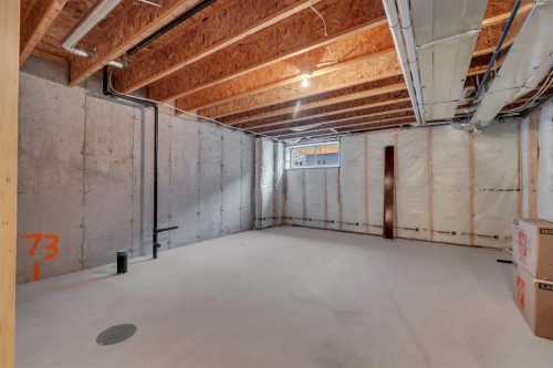 10 Midtown Boulevard Sw, Airdrie, AB - Indoor Photo Showing Basement