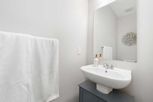174 Seton Grove Se, Calgary, AB - Indoor Photo Showing Bathroom