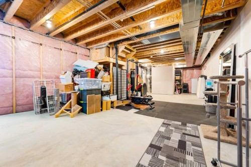174 Seton Grove Se, Calgary, AB - Indoor Photo Showing Basement
