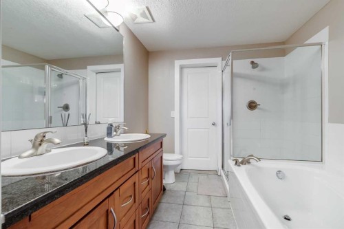 206-1818 14 Street Sw, Calgary, AB - Indoor Photo Showing Bathroom
