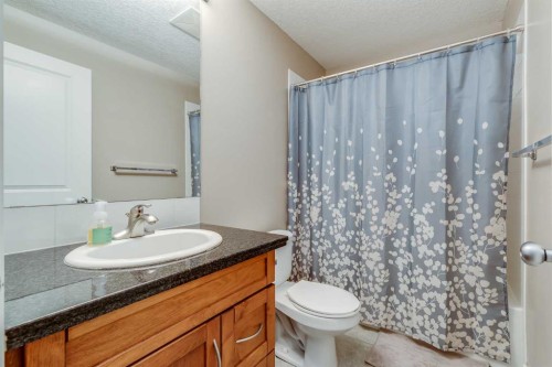 206-1818 14 Street Sw, Calgary, AB - Indoor Photo Showing Bathroom