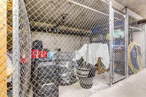 206-1818 14 Street Sw, Calgary, AB -  With Storage