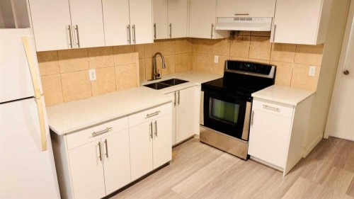 11 Martinwood Road Ne, Calgary, AB - Indoor Photo Showing Kitchen With Double Sink