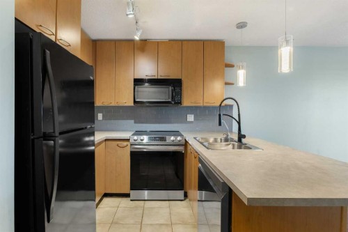 213-5115 Richard Road Sw, Calgary, AB - Indoor Photo Showing Kitchen With Double Sink