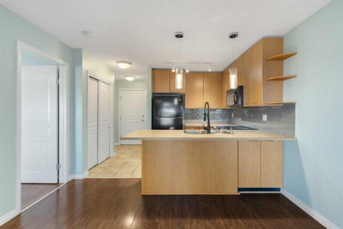 213-5115 Richard Road Sw, Calgary, AB - Indoor Photo Showing Kitchen With Double Sink