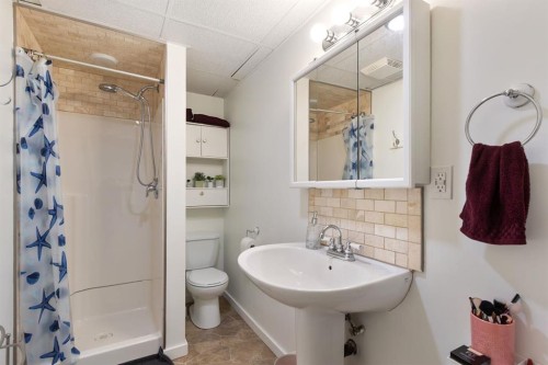 5141 43 Street, Olds, AB - Indoor Photo Showing Bathroom