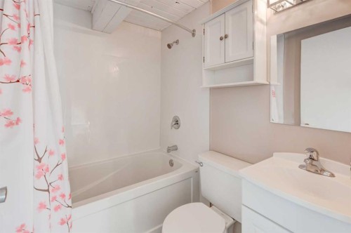 43 Midridge Gardens Se, Calgary, AB - Indoor Photo Showing Bathroom