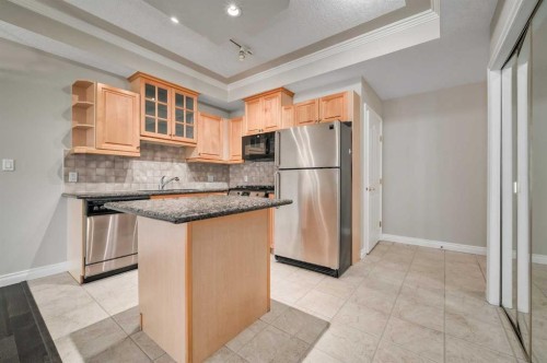 206-1315 12 Avenue Sw, Calgary, AB - Indoor Photo Showing Kitchen