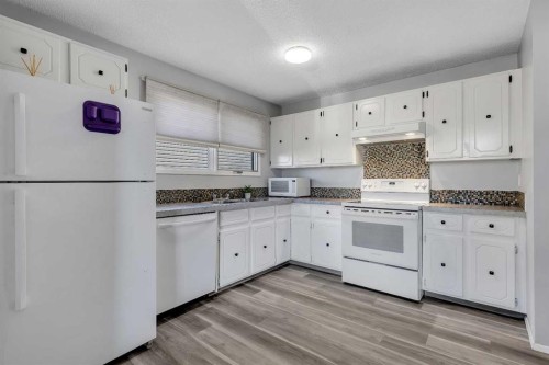 16 Castleglen Crescent Ne, Calgary, AB - Indoor Photo Showing Kitchen