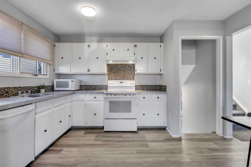 16 Castleglen Crescent Ne, Calgary, AB - Indoor Photo Showing Kitchen With Double Sink