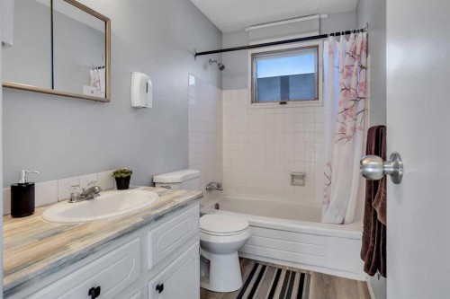 16 Castleglen Crescent Ne, Calgary, AB - Indoor Photo Showing Bathroom