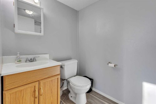 16 Castleglen Crescent Ne, Calgary, AB - Indoor Photo Showing Bathroom