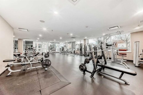 2206-211 13 Avenue Se, Calgary, AB - Indoor Photo Showing Gym Room