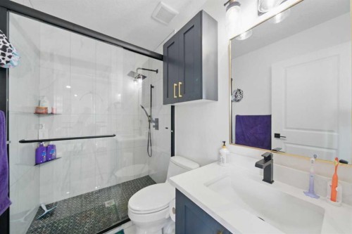 31 Lynx Meadows Court Nw, Calgary, AB - Indoor Photo Showing Bathroom