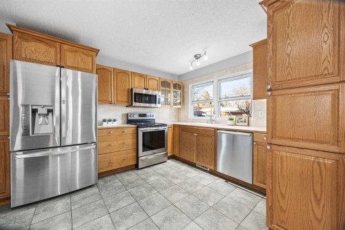 10444 Maplecreek Drive Se, Calgary, AB - Indoor Photo Showing Kitchen