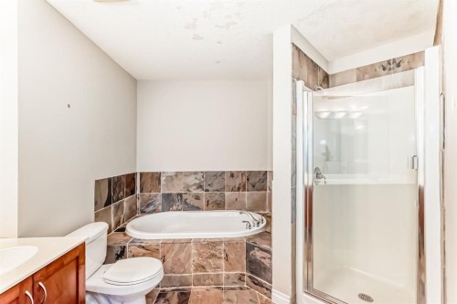 106-6 Hemlock Crescent Sw, Calgary, AB - Indoor Photo Showing Bathroom